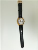 Reloj Philip Watch Hombre Gold Story in Oro R8051300021 - R8051300021